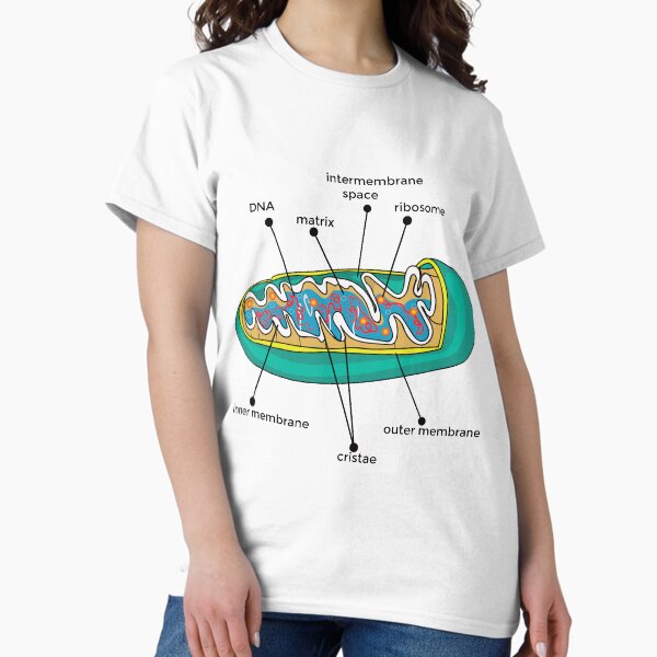 Item preview, Anatomy of Mitochondria poster | Anatomy of Mitochondria t-shirt | Anatomy of Mitochondria painting  designed and sold by KARTICK DUTTA.