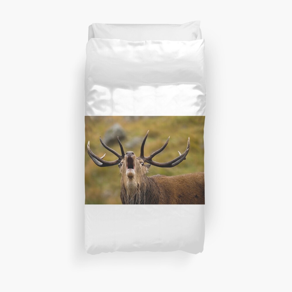 A Royal Proclaimation Duvet Cover