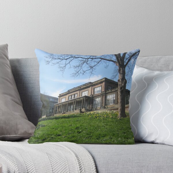 Item preview, Ashburne House in Backhouse park, Sunderland uk designed and sold by Andrew Morrell.