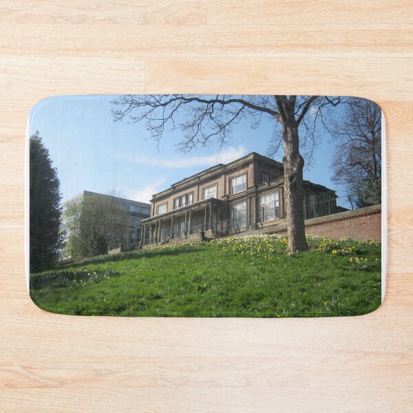 Item preview, Ashburne House in Backhouse park, Sunderland uk designed and sold by Andrew Morrell.