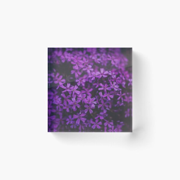 Artikelvorschau, LILA BLUMENMUSTER entworfen und verkauft von VividThreadsDesignStudio.
