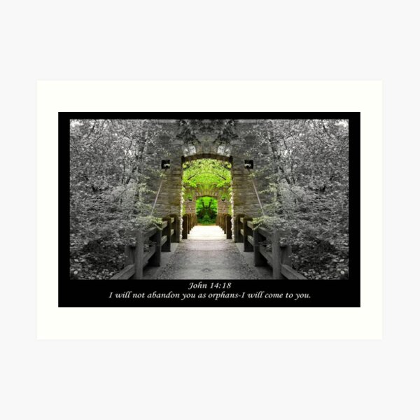 John 14-18 © Art Print