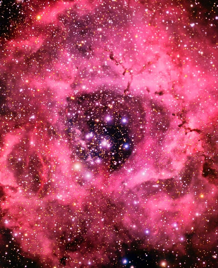 Fundas cubrepatines nebulosa rosa