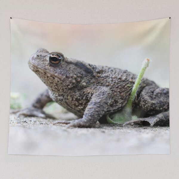Item preview, My Garden Toad designed and sold by cuprum.
