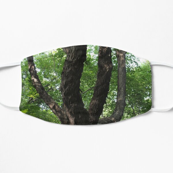Tree Mask