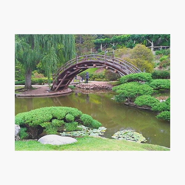The Japanese Garden at Huntington Gardens Photographic Print