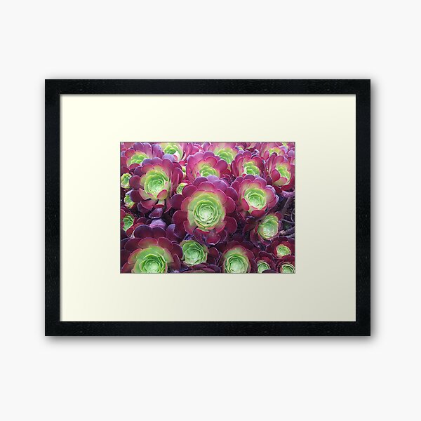 Framed Art Print