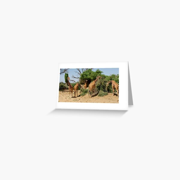 Item preview, Reticulated Giraffes designed and sold by rogersmith.