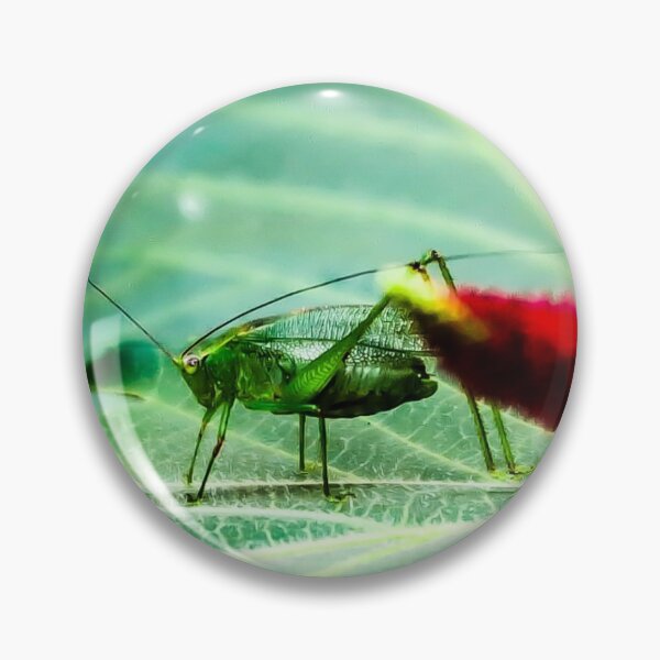 Item preview, saltamontes verde designed and sold by bruvdini.
