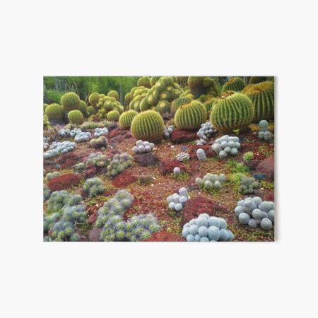 Cute Cacti Art Board Print