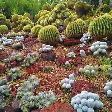 Artwork thumbnail, Cute Cacti by TalBright
