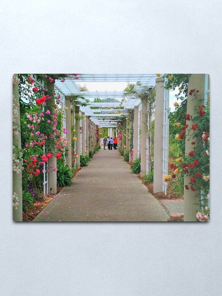 Alternate view of The Rose Garden Metal Print