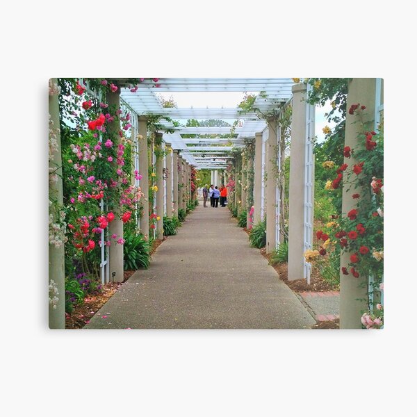 The Rose Garden Metal Print