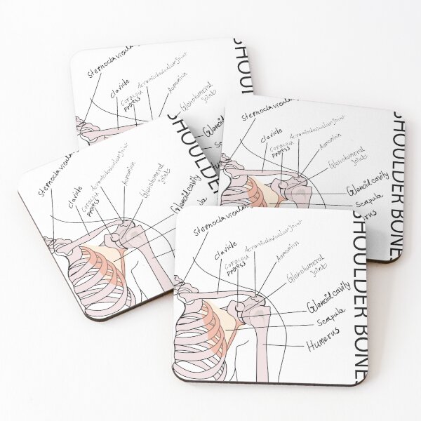 Item preview, shoulder bone medical poster vector illustration | SHOULDER BONES | medical poster of shoulder bone  designed and sold by KARTICK DUTTA.