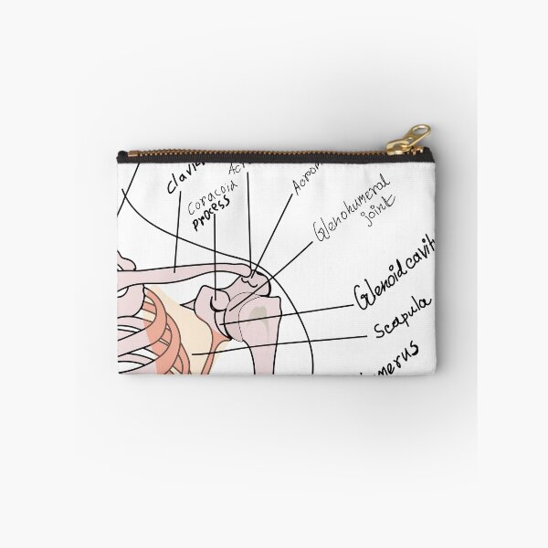 Item preview, shoulder bone medical poster vector illustration | SHOULDER BONES | medical poster of shoulder bone  designed and sold by KARTICK DUTTA.