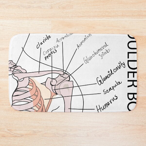 Item preview, shoulder bone medical poster vector illustration | SHOULDER BONES | medical poster of shoulder bone  designed and sold by KARTICK DUTTA.