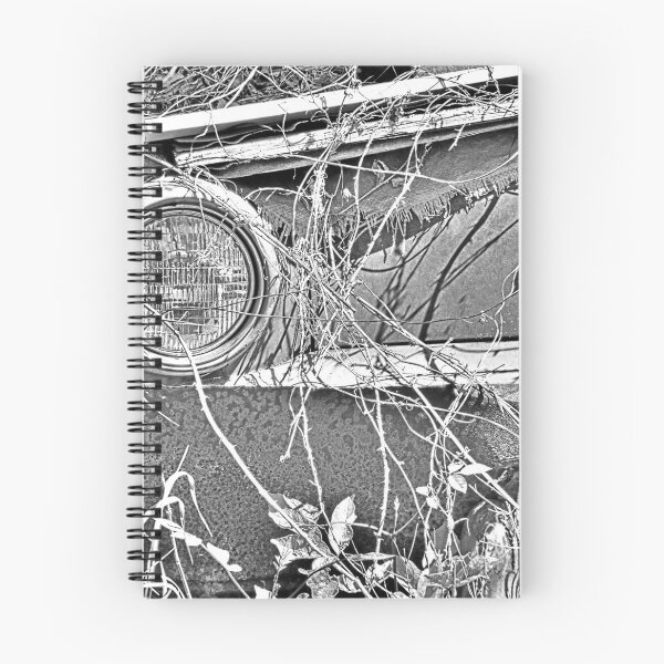 Item preview, Rusty Barn Find Black And White 2 designed and sold by LisaWootenPhoto.