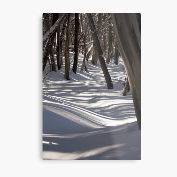 Winter Forest Metal Print