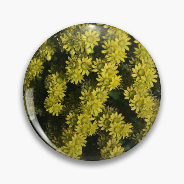 Item preview, Surprise DPG150528b designed and sold by CSteenArt.