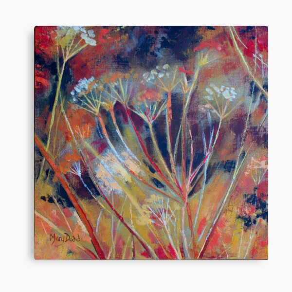 Cow Parsley (Keck) At Sunset. Picture Canvas Wall Art in Colour by
