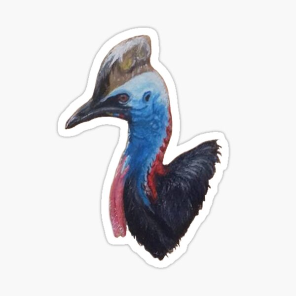 Cassowary Sticker