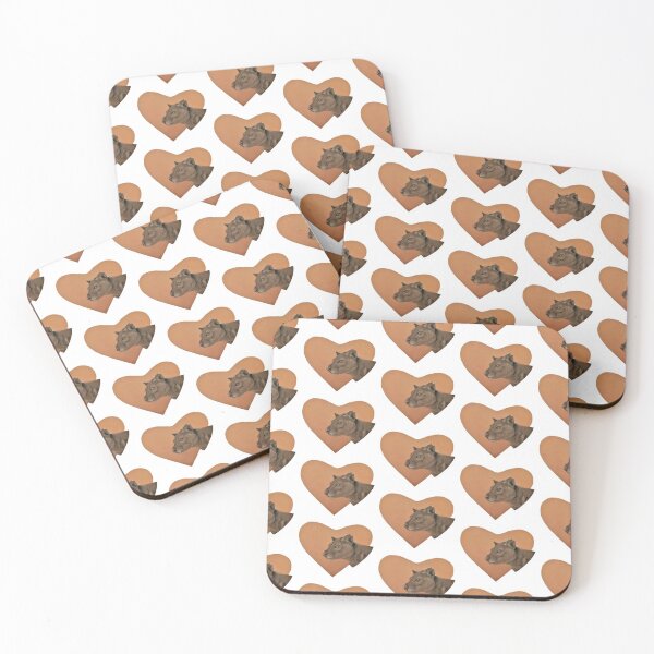Fossa Coasters (Set of 4)