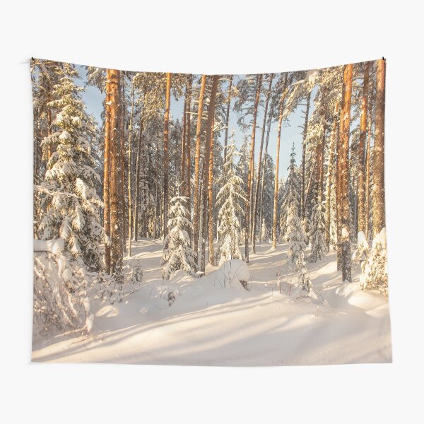 Sunny winter day Tapestry