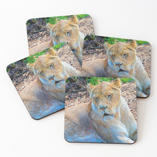 Item preview, Lion Panthera leo designed and sold by Chris Thaxter.
