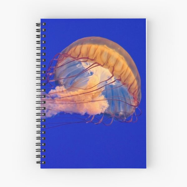 Item preview, Sea Nettles Jellyfish (Chrysaora fuscescens) designed and sold by Eyal Nahmias.