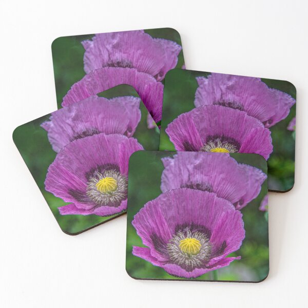 Item preview, Lilac Poppy designed and sold by Chris Thaxter.