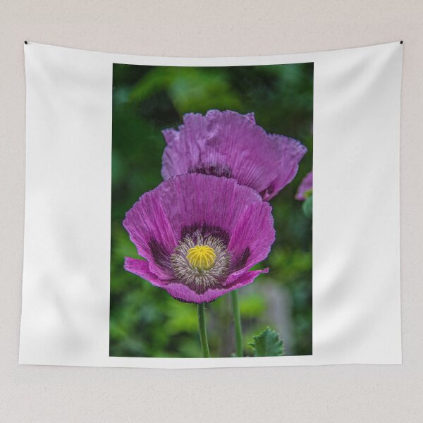 Item preview, Lilac Poppy designed and sold by Chris Thaxter.