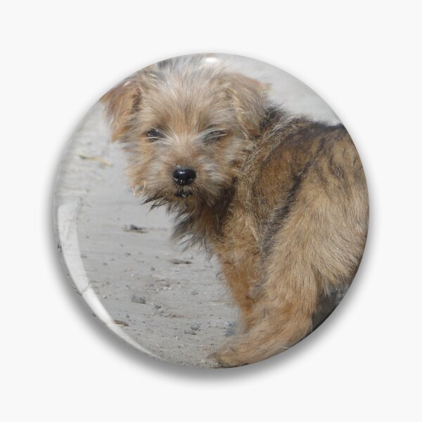 Item preview, I'm on a mission ... are you coming? designed and sold by Barrie Woodward.