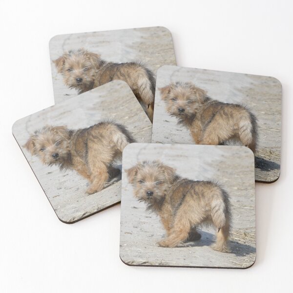 Item preview, I'm on a mission ... are you coming? designed and sold by Barrie Woodward.