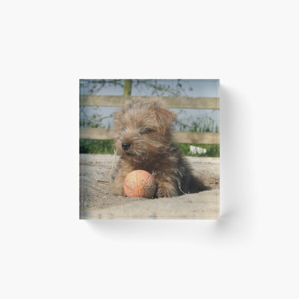 Item preview, Keep your eye on the ball designed and sold by Barrie Woodward.