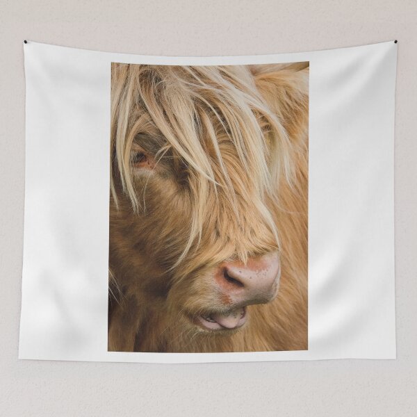 Item preview, Highland Cow Portrait designed and sold by Chris Thaxter.