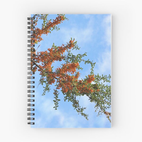 Item preview, Rowan Tree Branch designed and sold by pinkal.