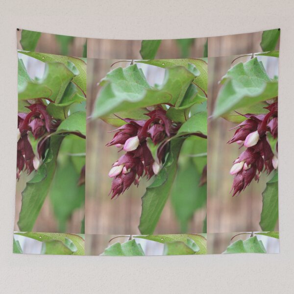 Item preview, Pheasant Berry Flower designed and sold by pinkal.