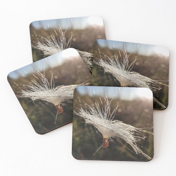 Item preview, Magical Milkweed designed and sold by ChatStroh.