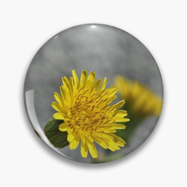 Item preview, NS Be My Sunshine © designed and sold by OmarHernandez.