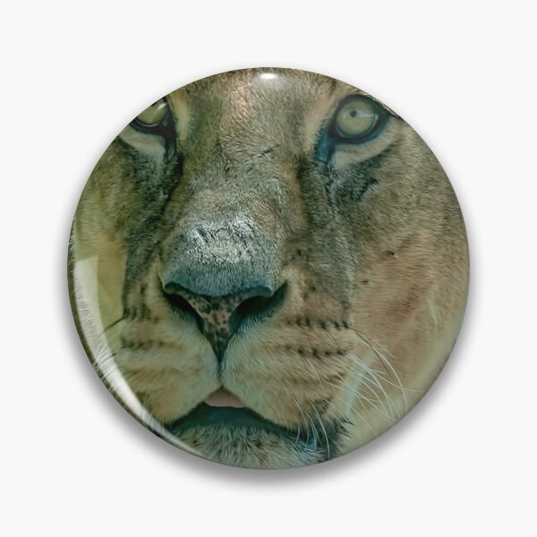 Item preview, Lioness Female Lion 2 designed and sold by Chris Thaxter.