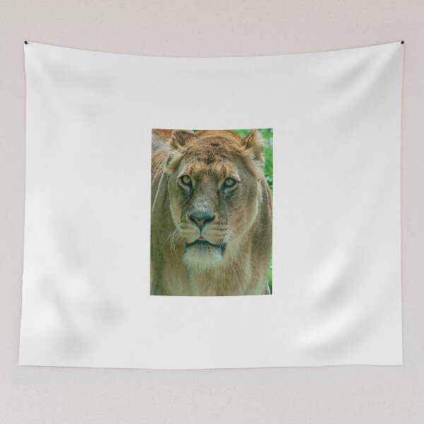 Item preview, Lioness Female Lion 2 designed and sold by Chris Thaxter.