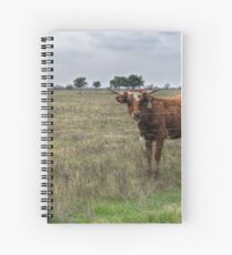 Da Brown Cow Spiralblock