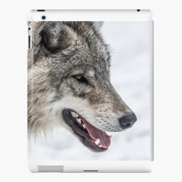 Grey Side iPad Snap Case