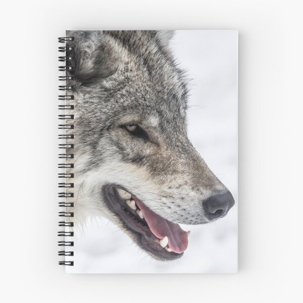 Item preview, Grey Side  designed and sold by KennyBImages899.