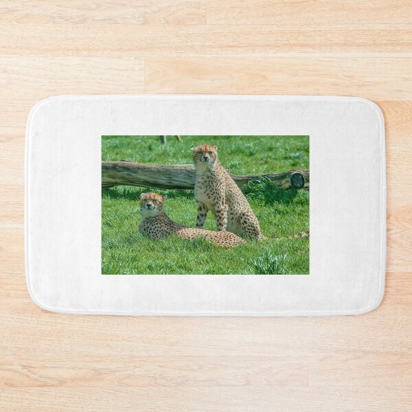 Item preview, 2 Cheetahs designed and sold by Chris Thaxter.