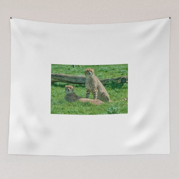 Item preview, 2 Cheetahs designed and sold by Chris Thaxter.