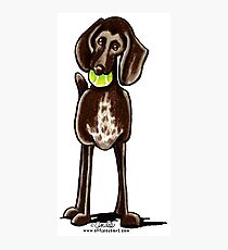 German Shorthaired Pointer Playtime Fotodruck