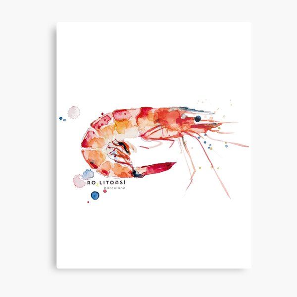 Shrimp/Prawn watercolor Metal Print