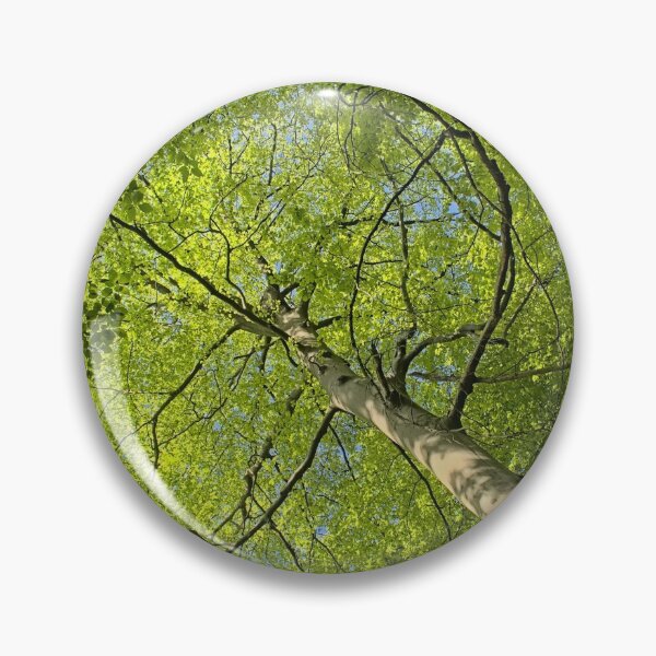 Item preview, Spring beech tree canopy designed and sold by xophotography.