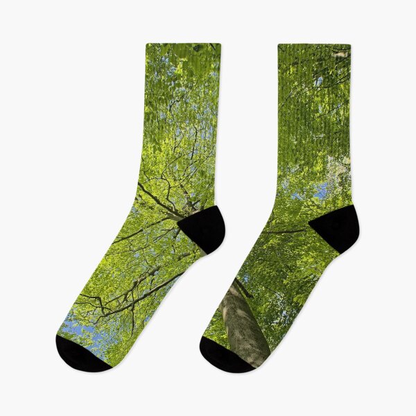 Item preview, Spring beech tree canopy designed and sold by xophotography.